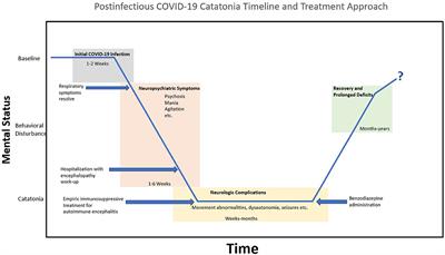Postinfectious COVID-19 Catatonia: A Report of Two Cases